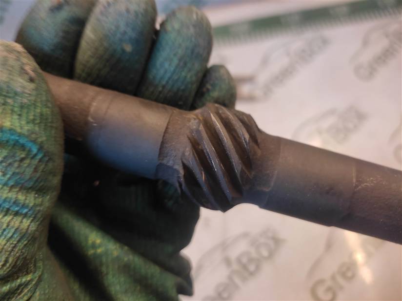 thumb