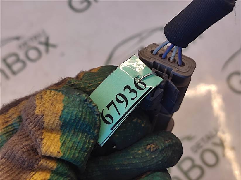 thumb