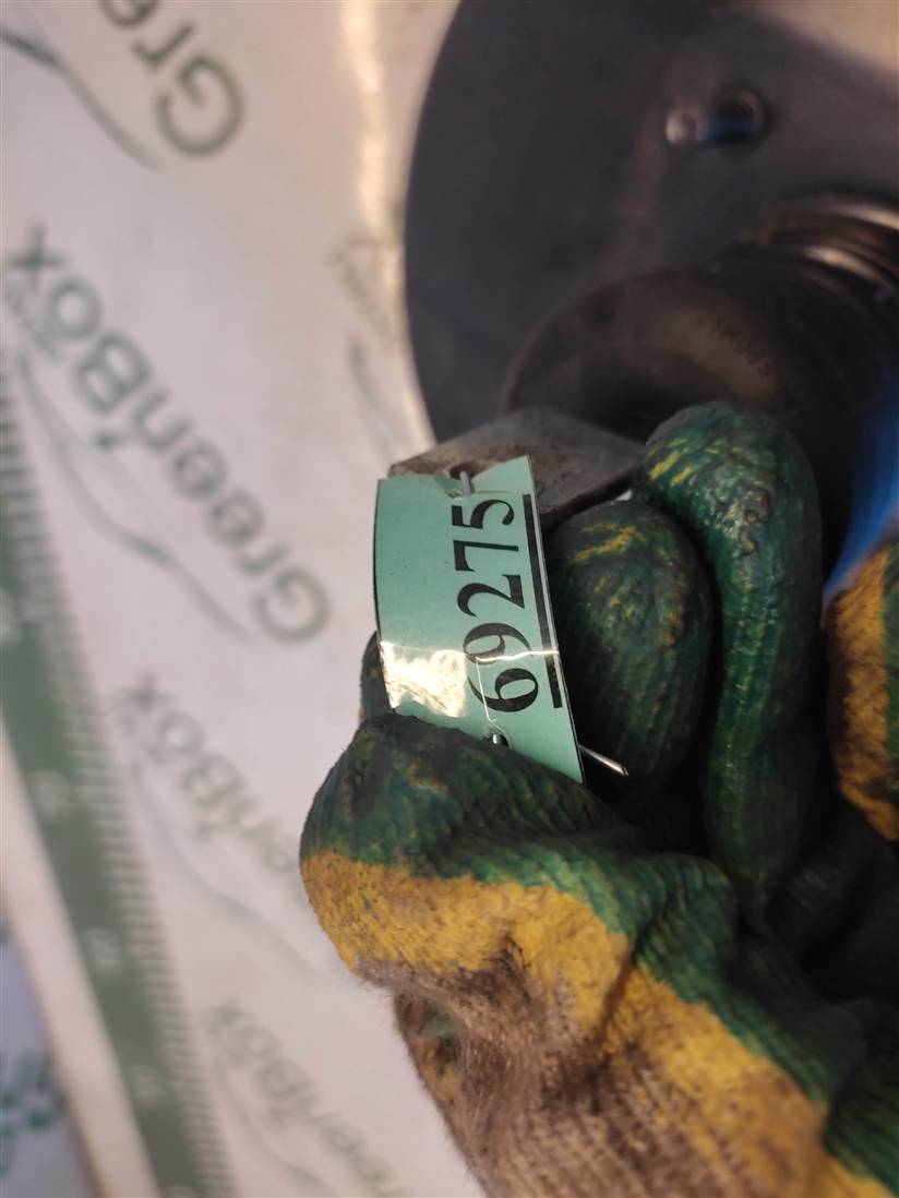 thumb