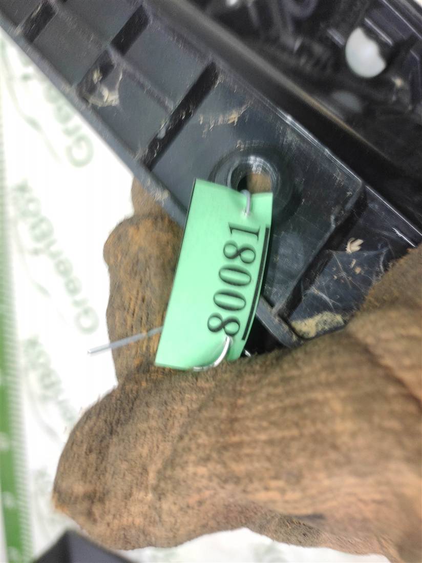 thumb